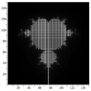 用MAPLE做出的mandelbrot集。