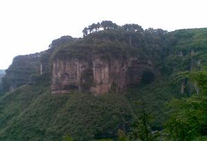 江埡森林公園