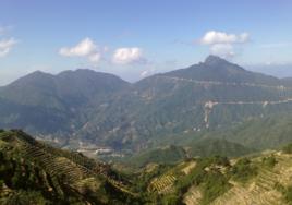 鳳凰山[廣西河池市鳳凰山]