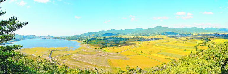 延壽大米種植基地