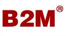 B2M[面向市場行銷的電子商務企業]