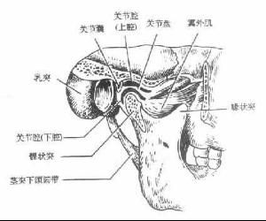 顳下頜關節紊亂綜合徵