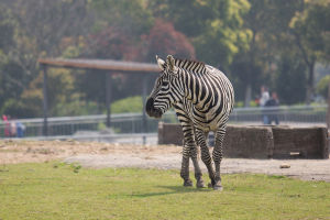 寧波雅戈爾動物園 