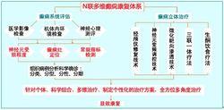 N聯多維癲癇康復體系