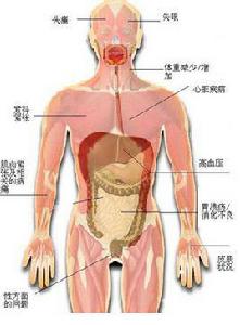 虛寒體質