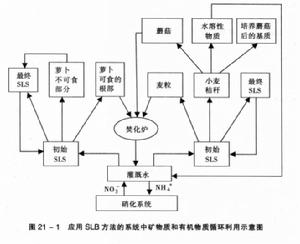 受控生態生命保障系統