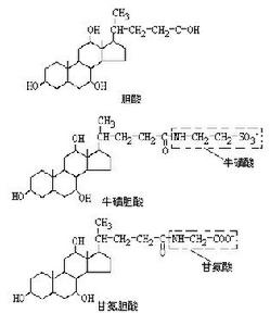 維生素缺乏