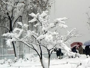 暴雪