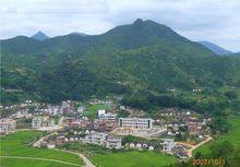 黃花村[廣東省梅州市豐順縣砂田鎮黃花村]