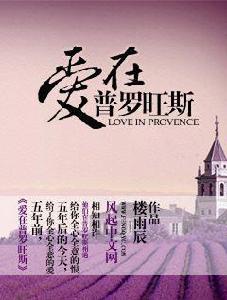 愛在普羅旺斯[風起中文網作者樓雨辰創作的總裁豪門小說]