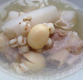 薏米蓮子煲鴨湯 薏米蓮子煲鴨湯
