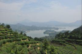 葉家沖村[湖北省黃岡市羅田縣白蓮河鄉葉家沖村]