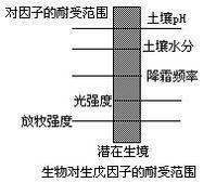 限制因子