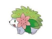 shaymin