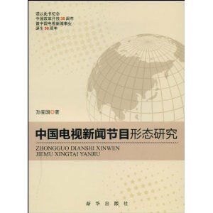 中國電視新聞節目形態研究