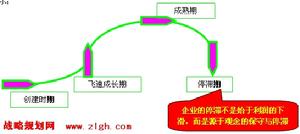 企業進化管理