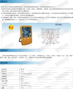 BFC8110防爆泛光燈