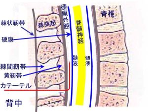 硬膜外隙