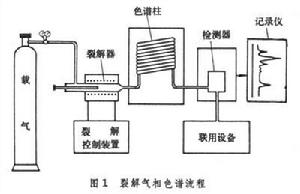 高聚物裂解氣相色譜