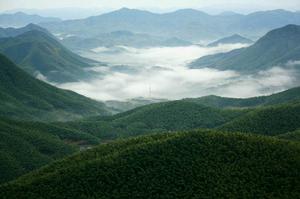 笄山村