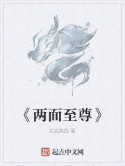 《兩面至尊》