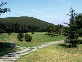 江蘇徐州環城國家森林公園