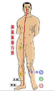 人體經絡走向穴點陣圖