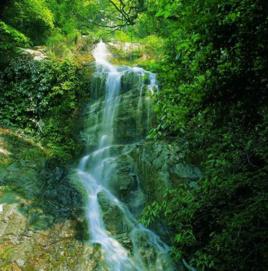 黃崗山[浙江衢州黃崗山]