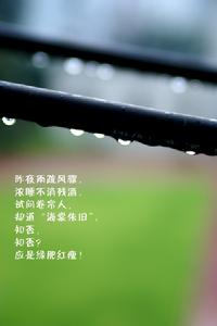 《如夢令·昨夜雨疏風驟》