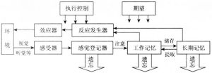 信息加工