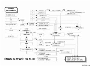 《傷寒雜病論》