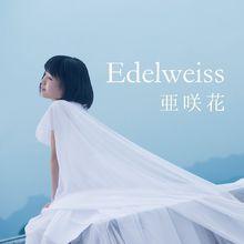 ED專輯DVD附帶盤