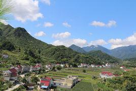 太平村[安徽省安慶市岳西縣和平鄉太平村]