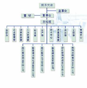 浙江新和成股份有限公司