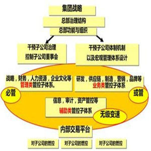 集團管控體系