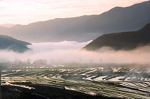 黃連山自然保護區