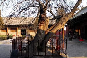 平遙雙林寺彩塑藝術館