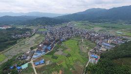 東平鎮[福建省政和縣東平鎮]