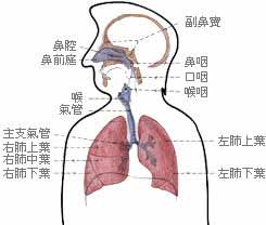 先天性腹膜疝