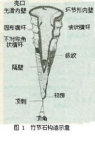 生命經緯