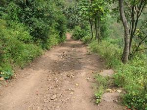 進村道路