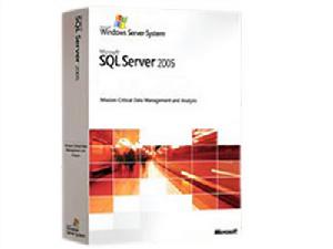 SQLServer2005報表服務高級編程