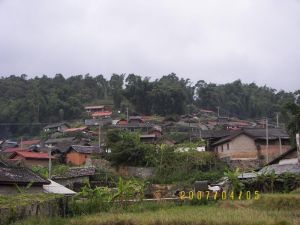 發展河村