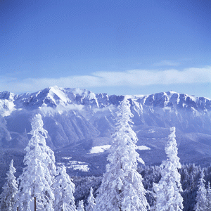 喀爾巴阡山