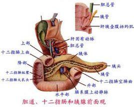 結核性直腸炎