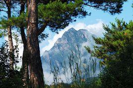 黃柏山旅遊區