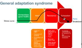 一般適應綜合症