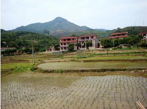 東垵村