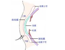 眼瞼裂斑