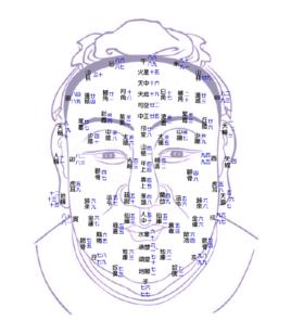 十三部位